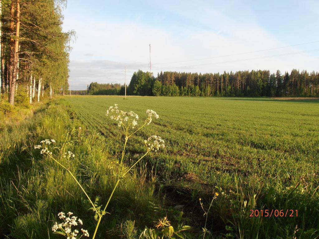 Kalliomajat Ylivalli Exterior foto